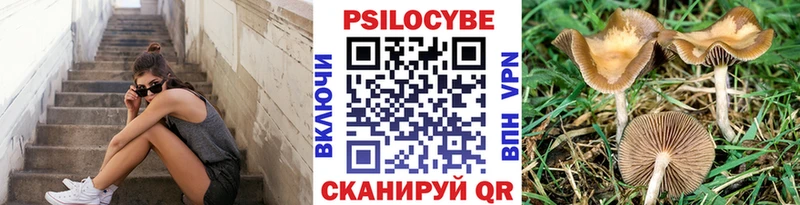 Галлюциногенные грибы Psilocybe  Ува 